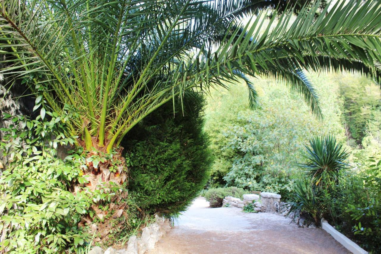 Le Mas Des Alizes La Colle-sur-Loup Buitenkant foto